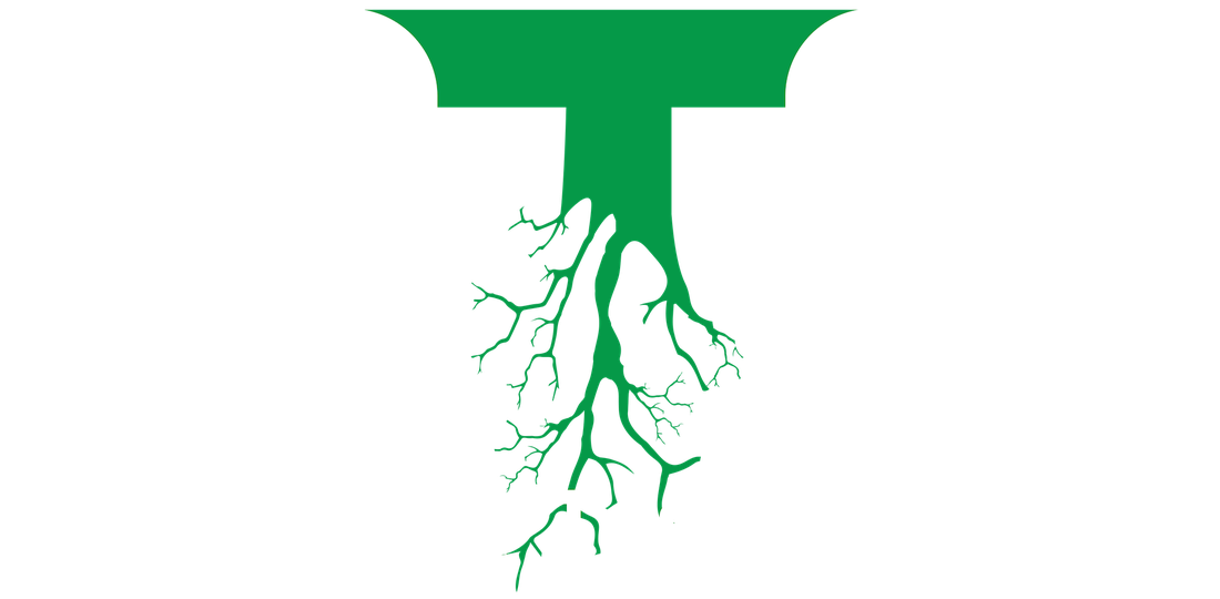 Altamaha Tree Service
